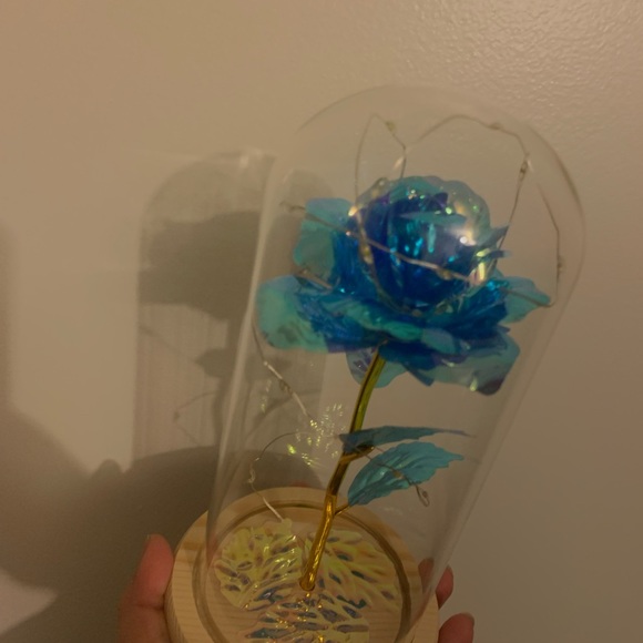 Rose - Picture 3 of 10